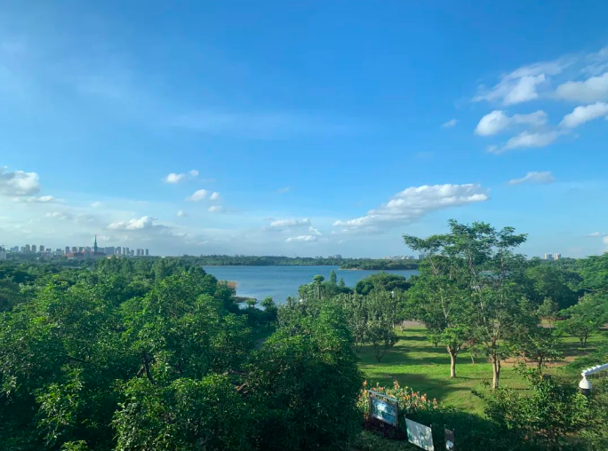 �W��С�(zh��n)��ӛ����ͯԒ(hu��)���������g